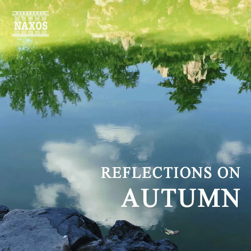 A久久96视频免费
